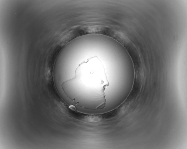 X0000086920327200704301102