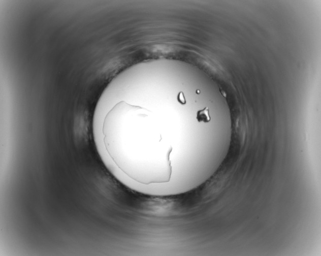 X0000086920328200704301102