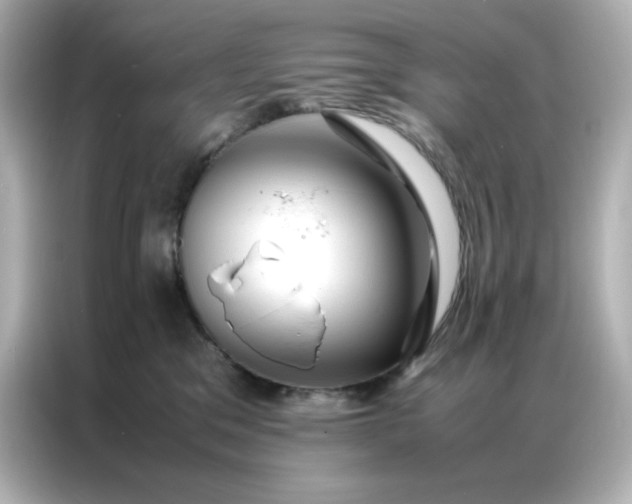 X0000086920329200704301102
