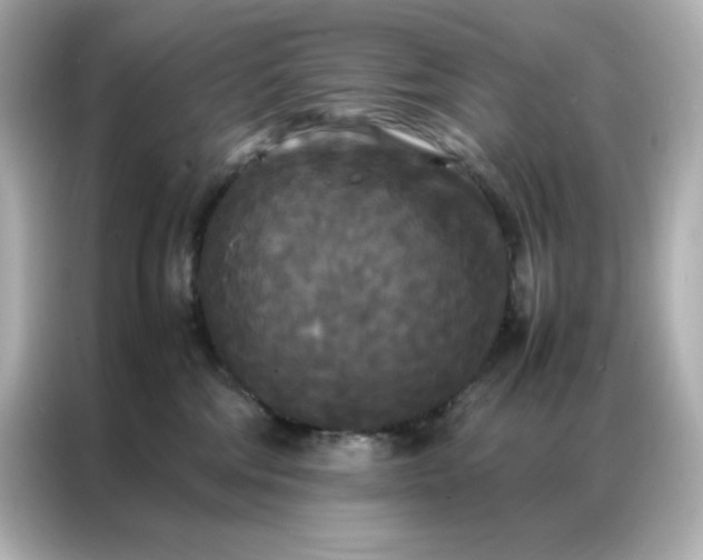 X0000086920330200704301102
