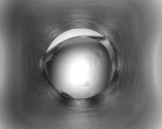 X0000086920333200704301102