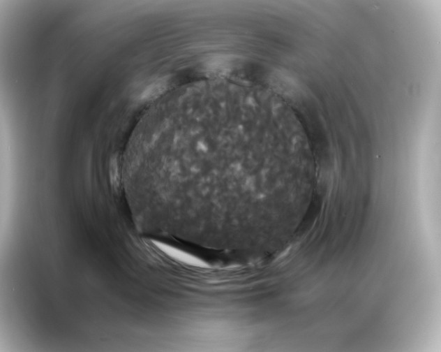 X0000086920335200704301102