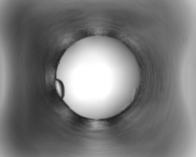 X0000086920336200704301102