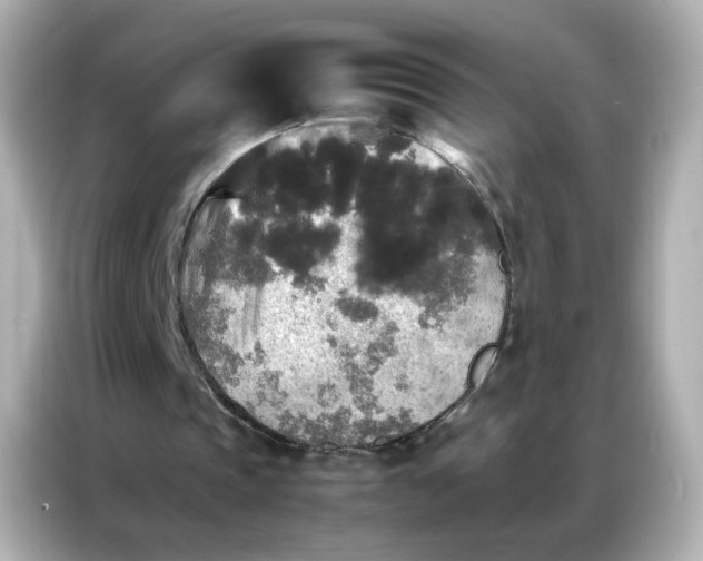 X0000086920337200704301101