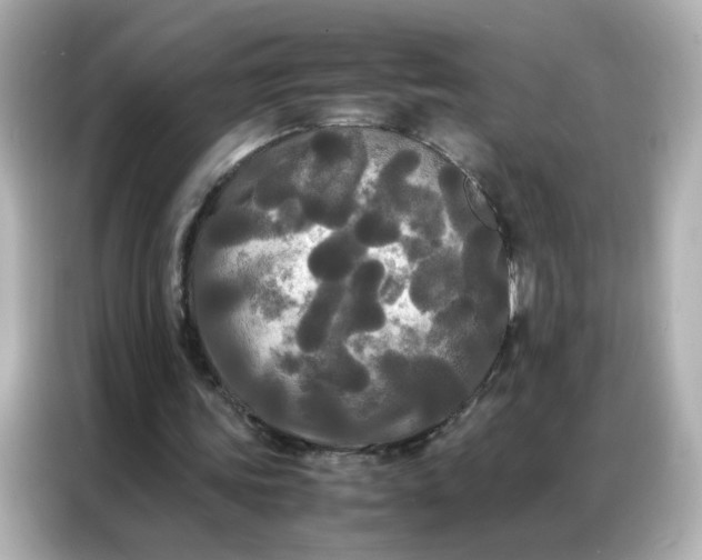 X0000086920339200704301101