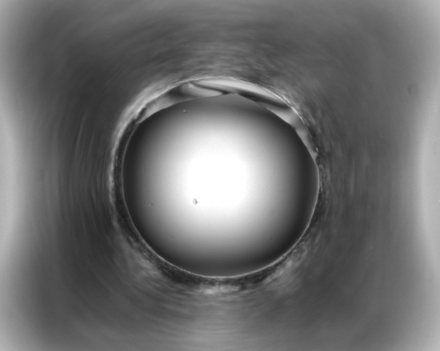 X0000086920340200704301101