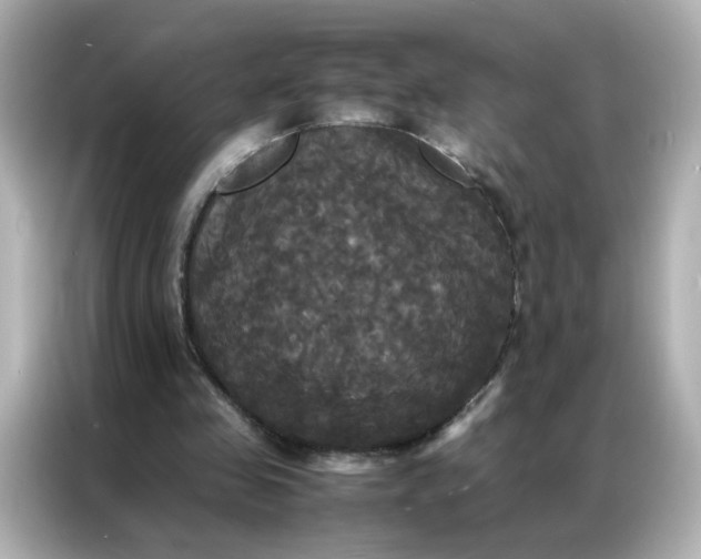 X0000086920341200704301101