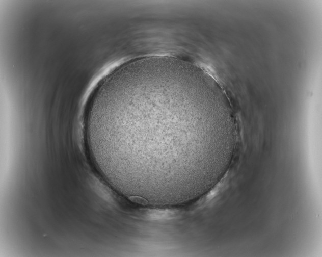 X0000086920342200704301101