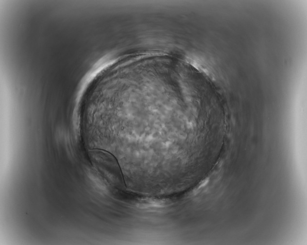 X0000086920343200704301101