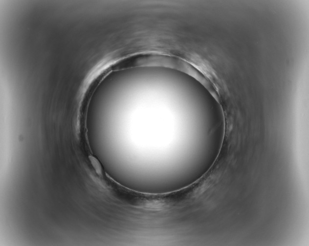 X0000086920344200704301101