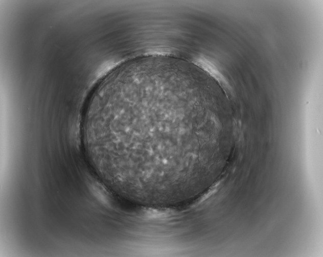X0000086920346200704301101