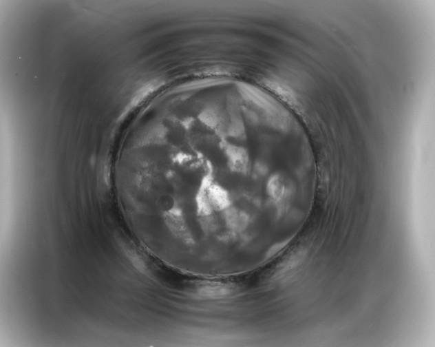 X0000086920347200704301101