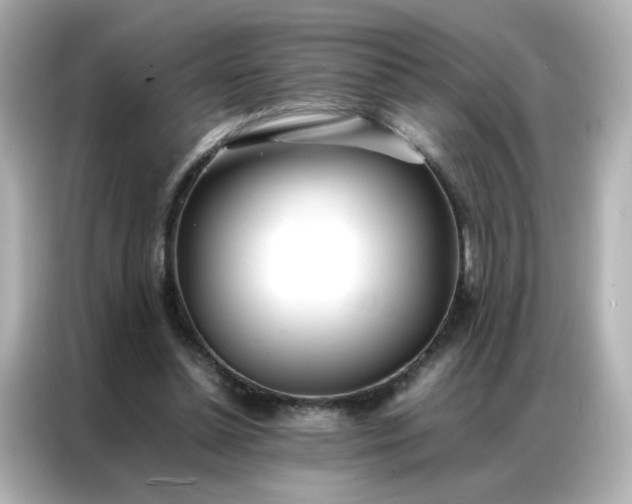 X0000086920348200704301101