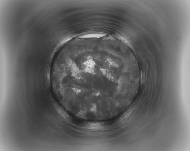 X0000086920349200704301101