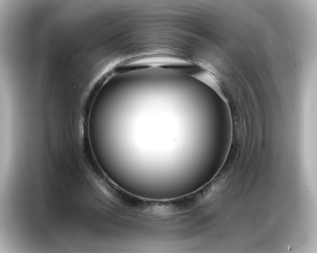 X0000086920350200704301101