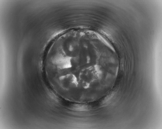 X0000086920351200704301101