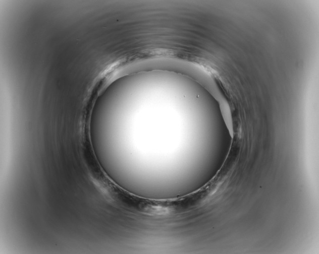 X0000086920352200704301101