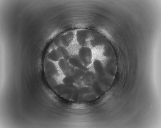 X0000086920354200704301102