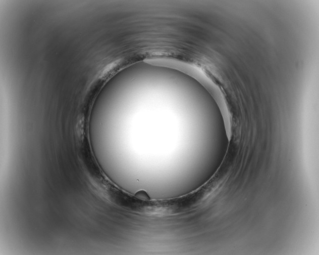 X0000086920356200704301102