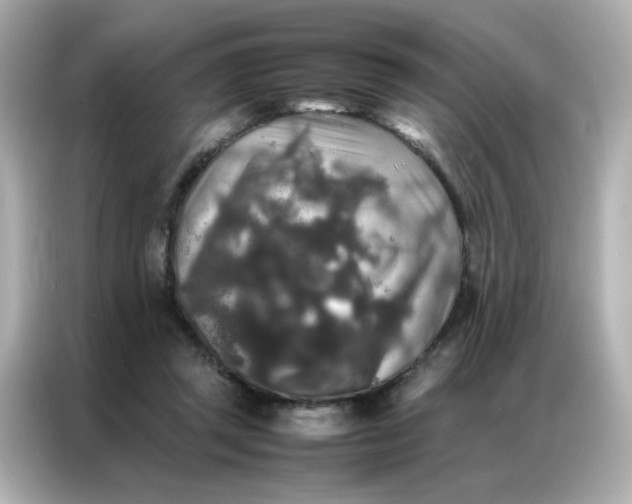 X0000086920357200704301102