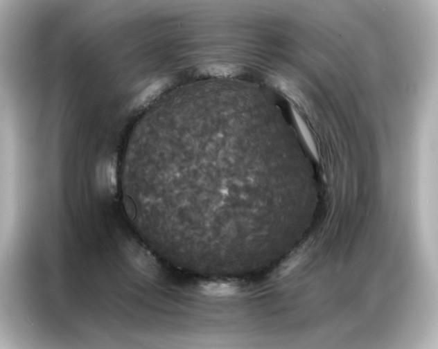 X0000086920358200704301102