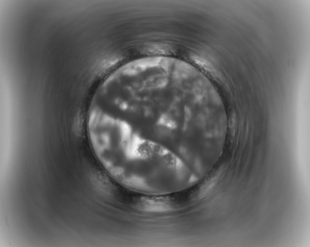X0000086920359200704301102
