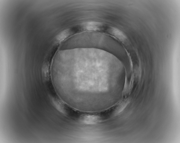 X0000086920360200704301102