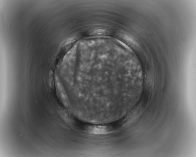 X0000086920361200704301102