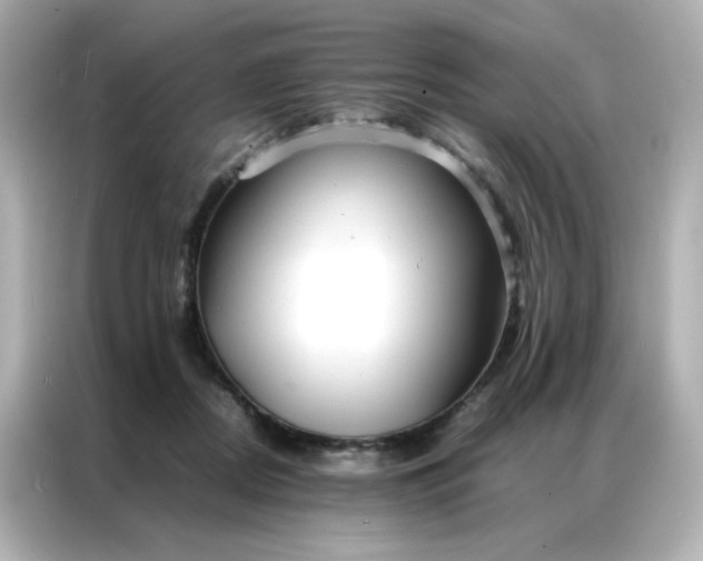X0000086920362200704301102