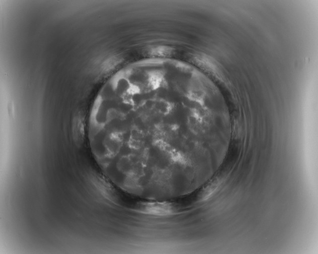 X0000086920363200704301102