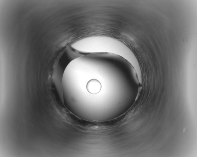 X0000086920364200704301102