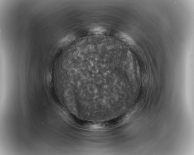 X0000086920365200704301102