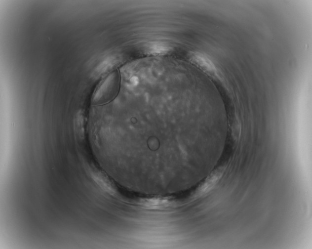 X0000086920366200704301102