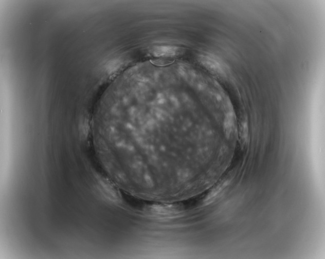 X0000086920367200704301102