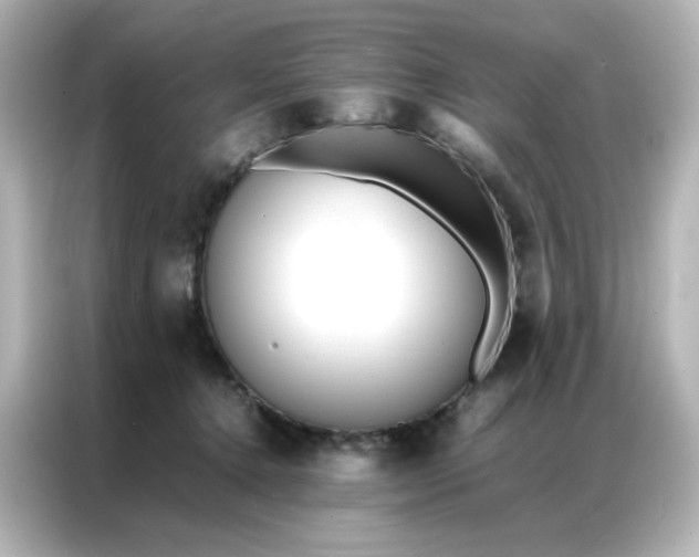 X0000086920368200704301102