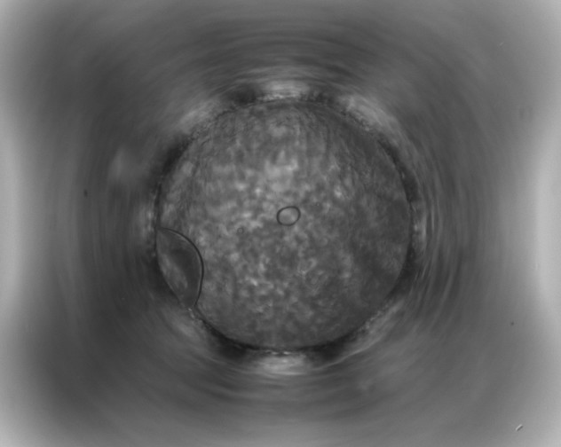X0000086920369200704301102
