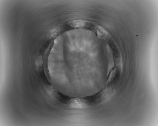 X0000086920372200704301102