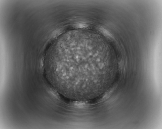 X0000086920373200704301102