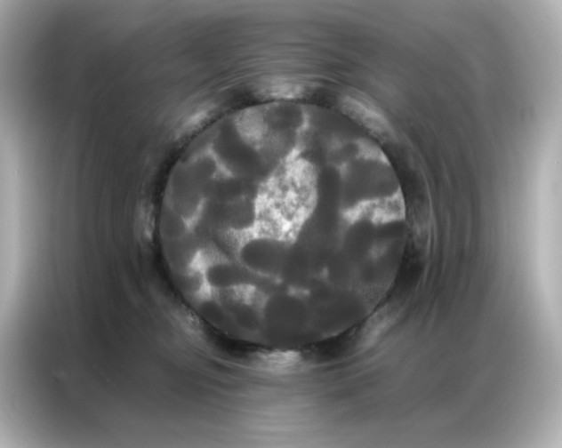 X0000086920374200704301102