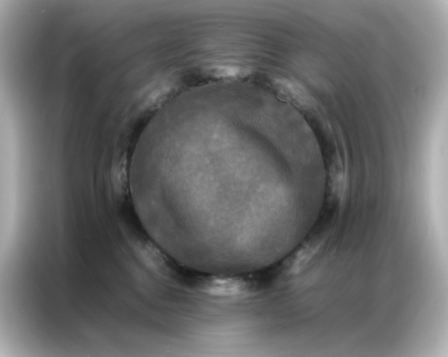 X0000086920376200704301102