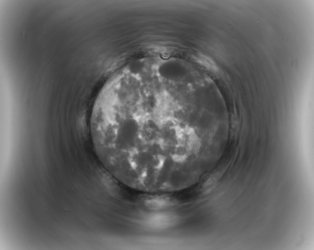 X0000086920377200704301102