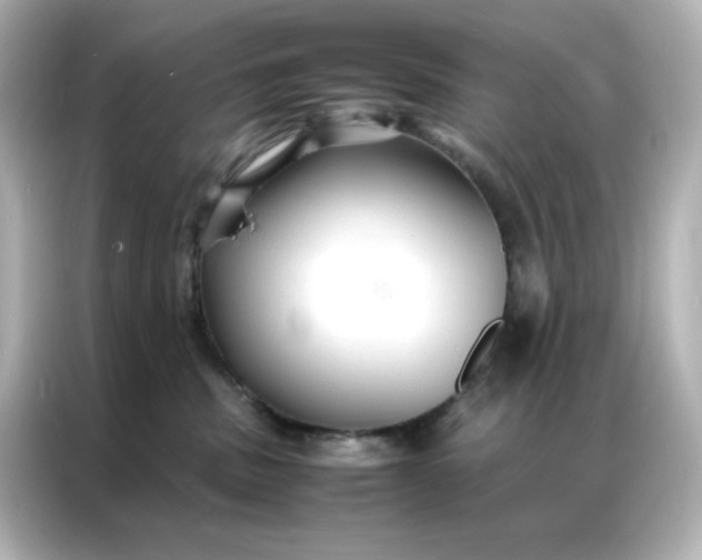 X0000086920379200704301102