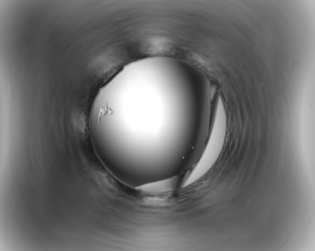 X0000086920380200704301102
