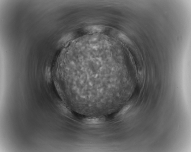 X0000086920381200704301102