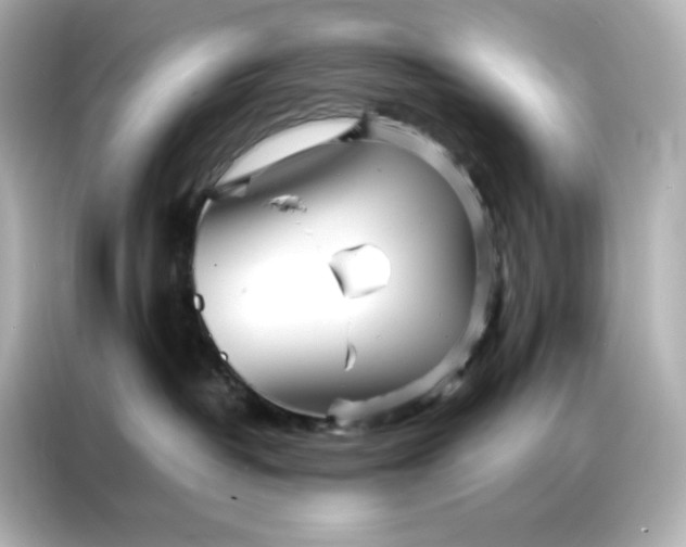 X0000086920382200704301102
