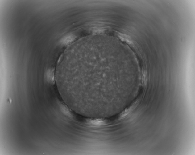 X0000086920383200704301102