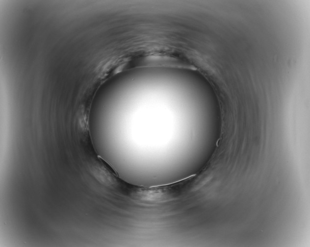 X0000086920384200704301102