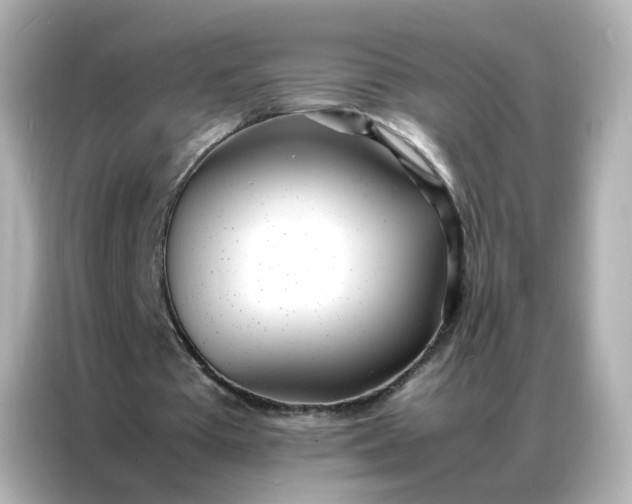X0000086920385200704301101