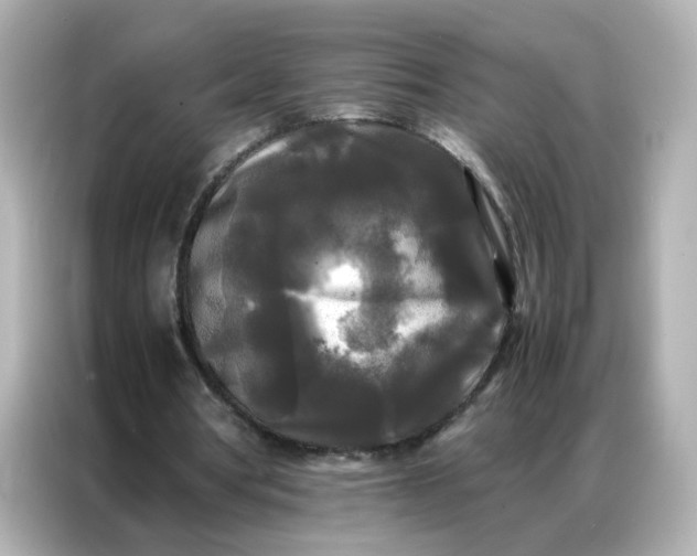 X0000086920386200704301101