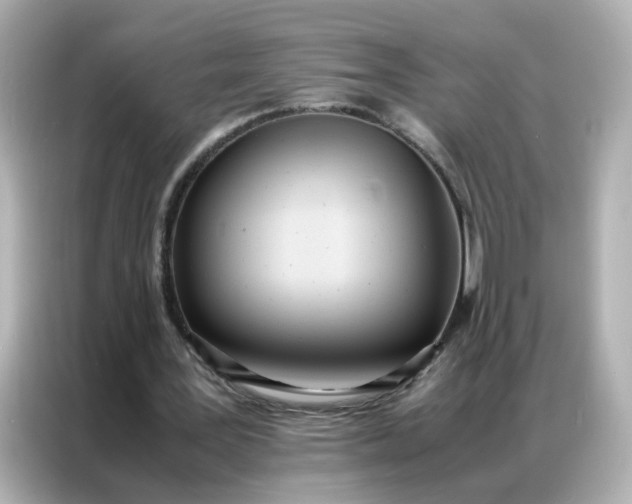 X0000086920387200704301101